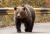 クマ死ね