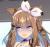 この前トリプルティアラのお茶会で軽い気持ちで一番速いのは私って言ったのよ大変なことになったわ…