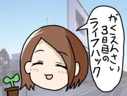 39798 B