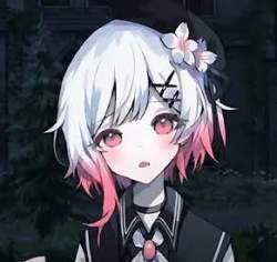 23272 B