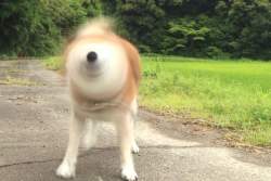 69460 B