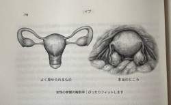 136978 B