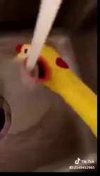 592755 B