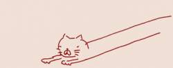 11649 B