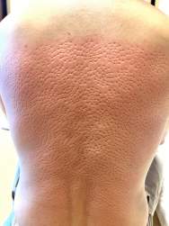 1083607 B