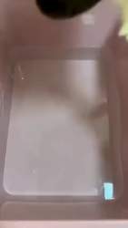 3063697 B