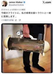 167279 B