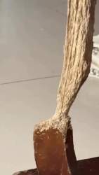 2730690 B
