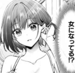 76344 B