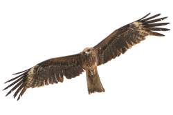 791863 B