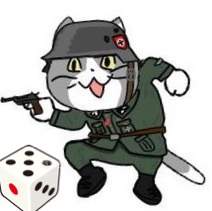 15593 B