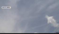 2995389 B