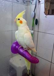 549556 B