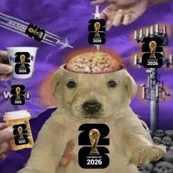 2053630 B