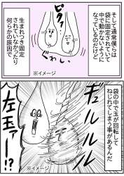 207511 B
