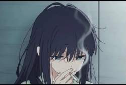 80524 B