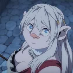 50304 B