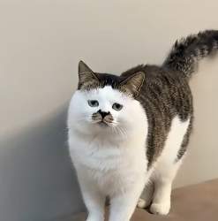 57555 B