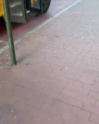 2205965 B
