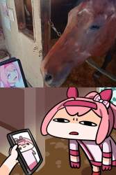 252861 B