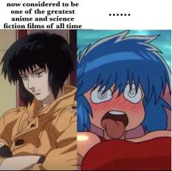 146127 B