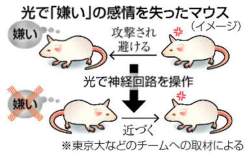 35658 B
