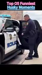 2430479 B