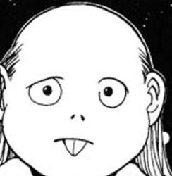 26594 B