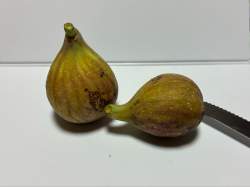 233187 B
