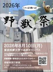 204916 B