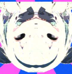 163001 B