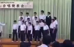 1006331 B
