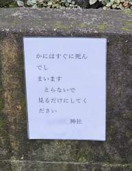 604653 B