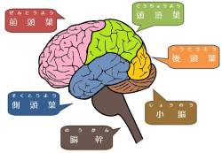 48719 B