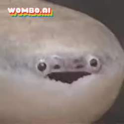 588969 B