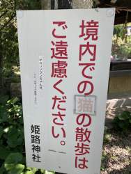 424608 B