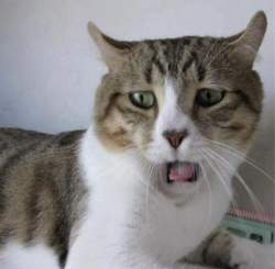 46969 B