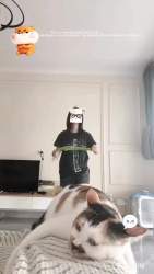 1298806 B
