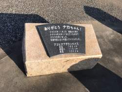1337449 B