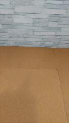 2494309 B