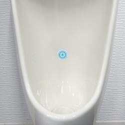 44255 B