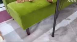 2344007 B