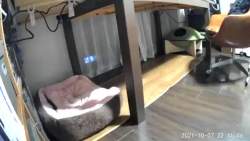 1018501 B