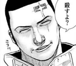 17316 B
