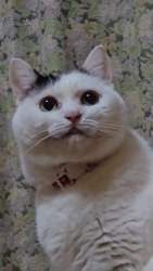 1285874 B