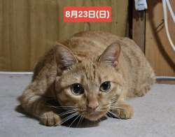 773341 B