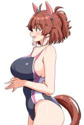 50284 B
