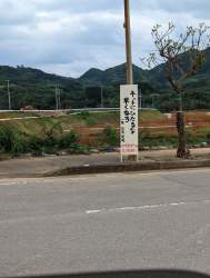 613723 B