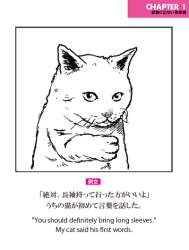 63954 B