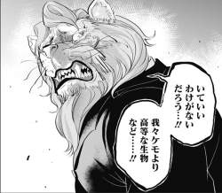 146572 B